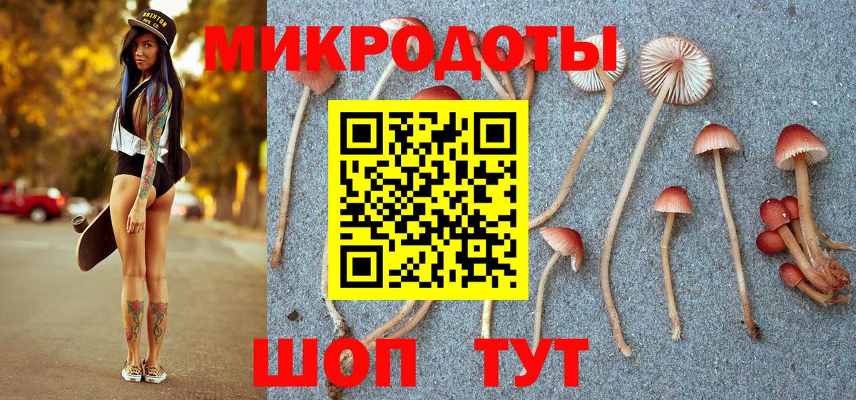 Галлюциногенные грибы мухоморы  Вход с VPN  Ноябрьск  Галлюциногенные грибы Psilocybine cubensis 