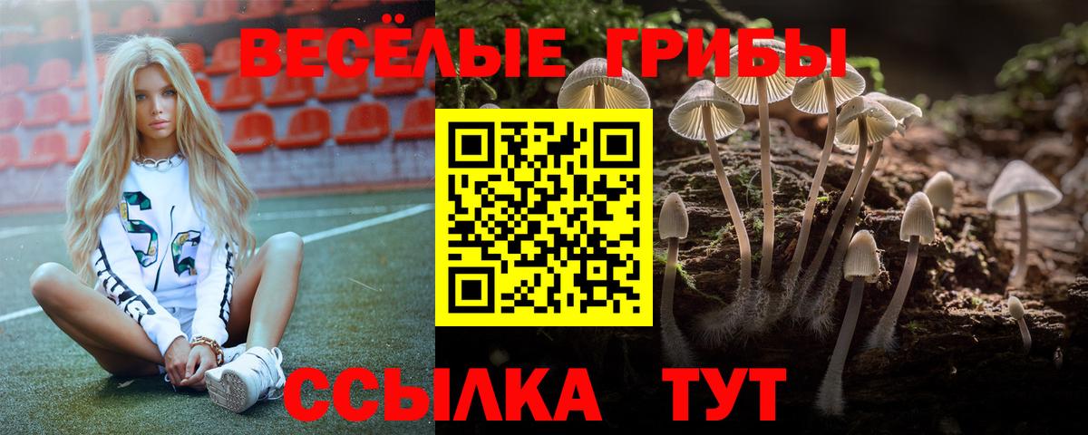 Галлюциногенные грибы Magic Shrooms Ноябрьск